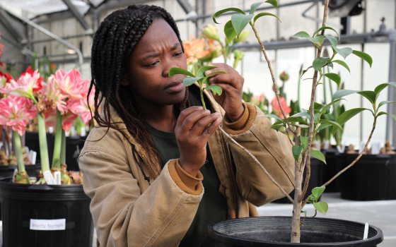 a person in a tan jacket working with leaves of a potted plant